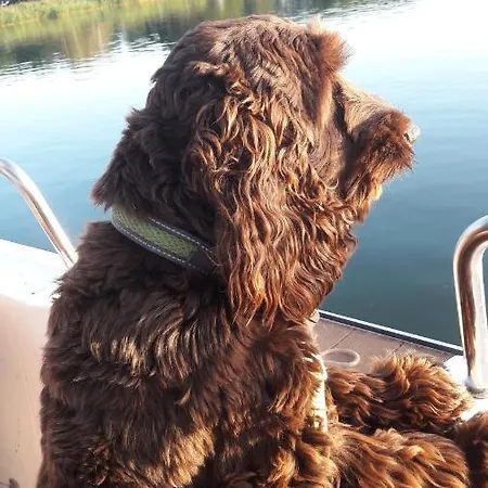 Ab Musiol Swinoujscie