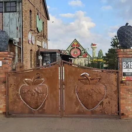 Ab Musiol Prázdninový dům *