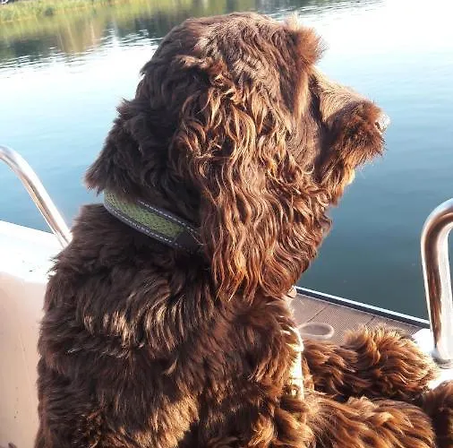 Ab Musiol Świnoujście