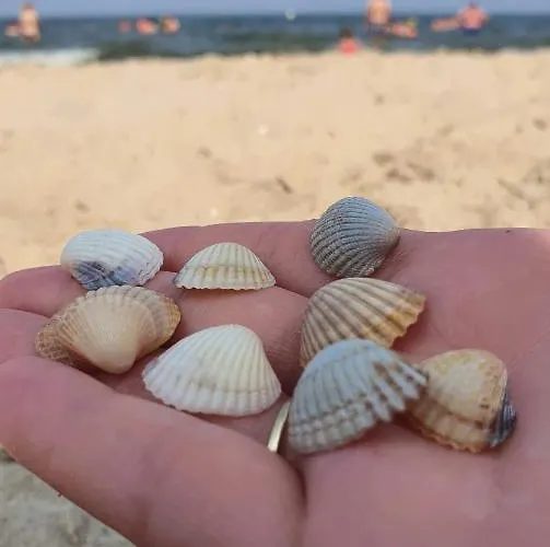 Vakantiehuis Ab Musiol